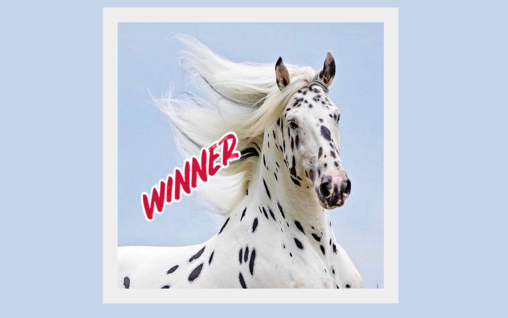AND THE WINNER OF OUR GIVEAWAY IS...